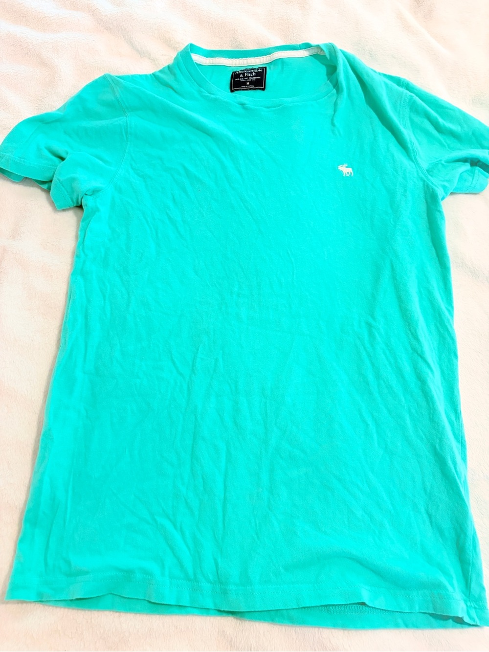 Abercrombie Mens Teal Crew Neck Tee 🪼🐢